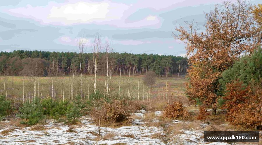 jiuyou官网挑战规则，创造传奇